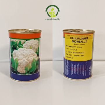 تصویر  بذر گل کلم سفید اسنوبال-ایتالیاییCauliflower Snoball X