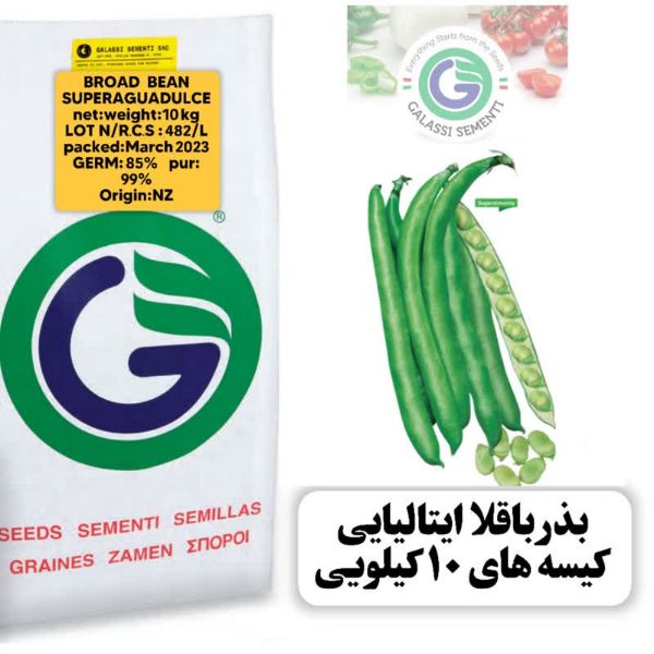 تصویر  بذر باقالا سوپرآگوادولچه-ایتالیاییBroad bean Superaguadulce